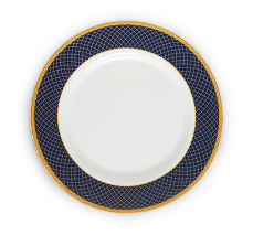 Plate1